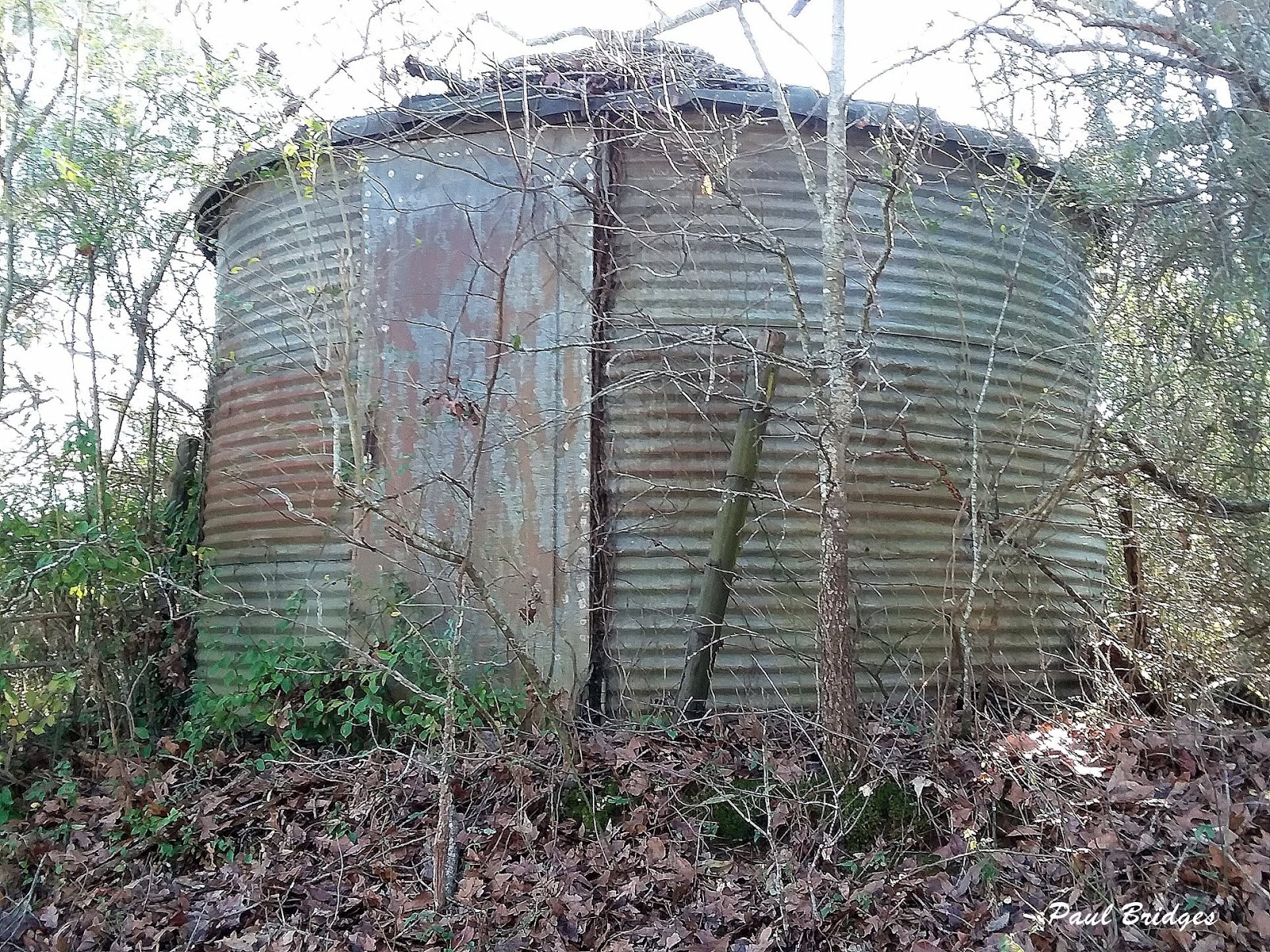 Old Grain Bin in Jackson County