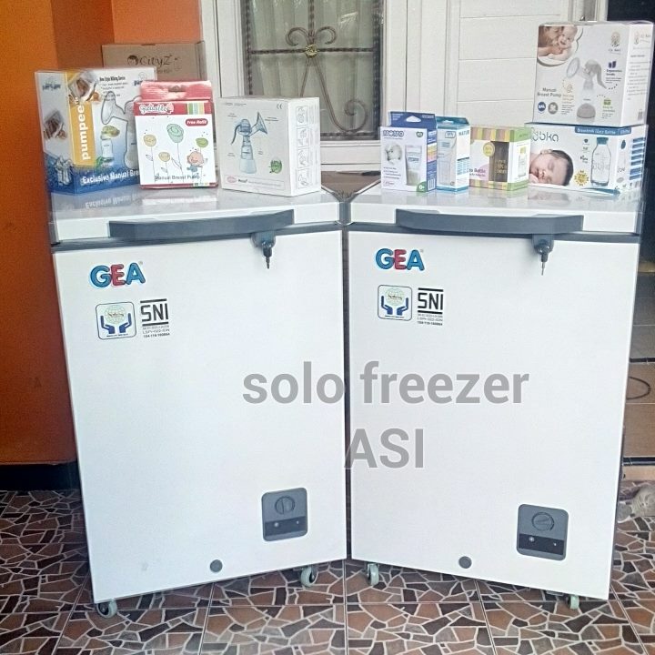 Sewa Freezer Asi Sragen ~ Sewa Freezer Asi Solo, Solo freezer asi, Sewa