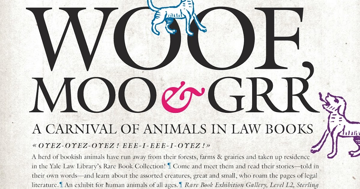 moo brochure