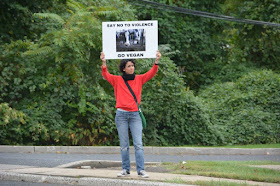 The Vegan Vine About Me