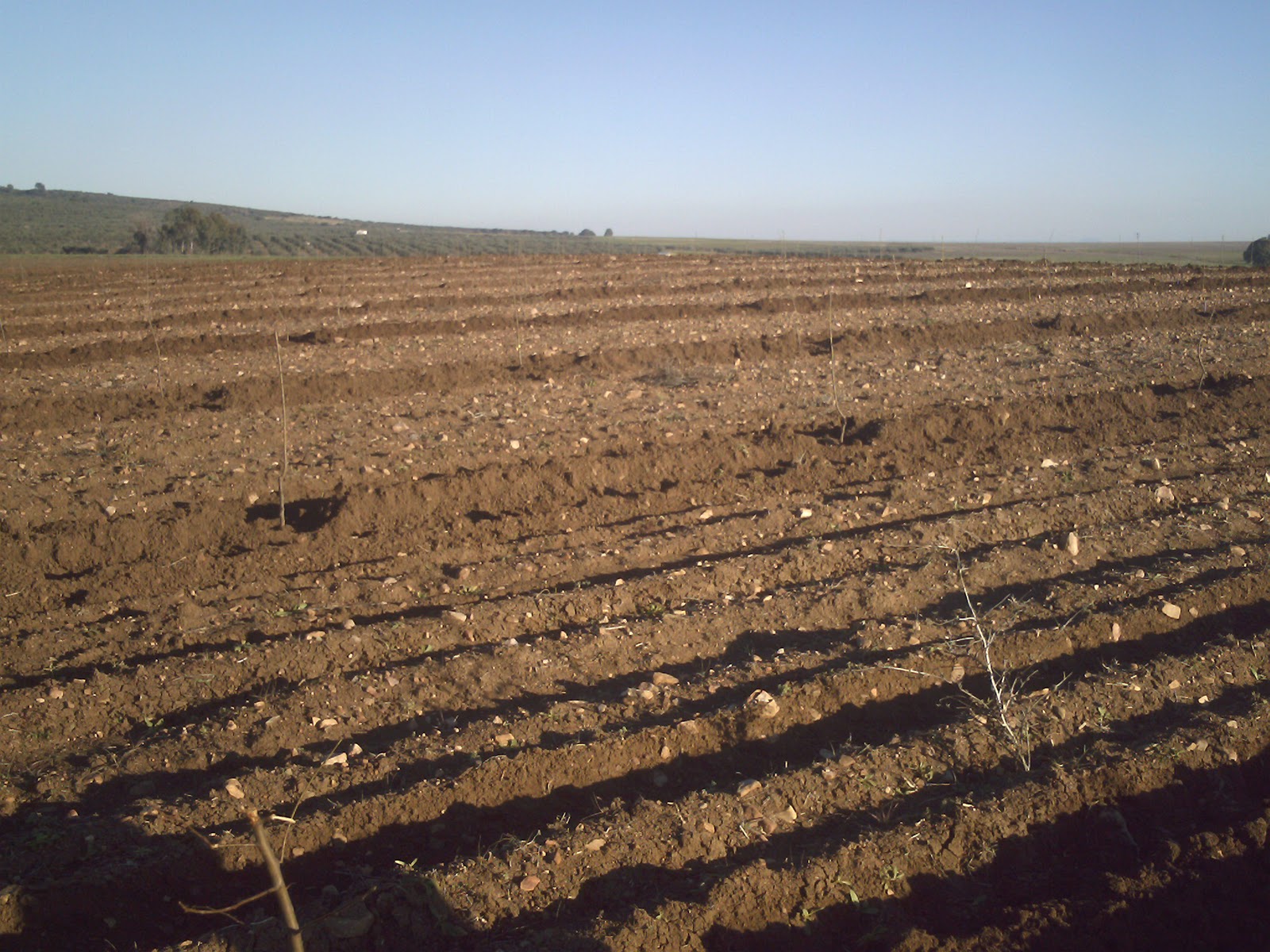 ipex-orellana-en-contra-tambien-del-regadio