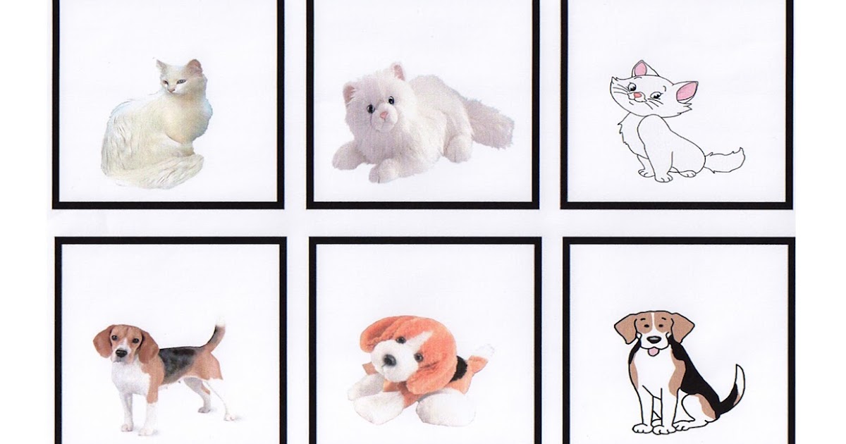 Generalization Teaching Loosely I Love ABA!