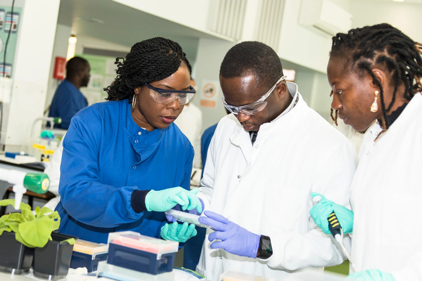 JR Biotek Foundation Reach & Teach Science in Africa Online Workshop 2020 for African Researchers