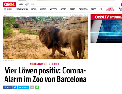 4 Loewen haben Corona in Barcelona