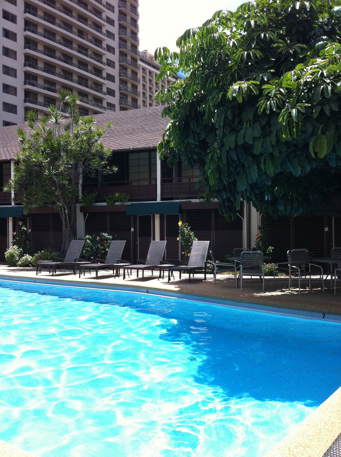 GREAT EATS HAWAII WASABI BISTRO