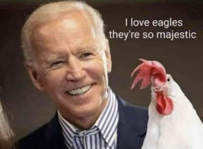 DEM%2BBIDEN%2B%252839%2529.jpg
