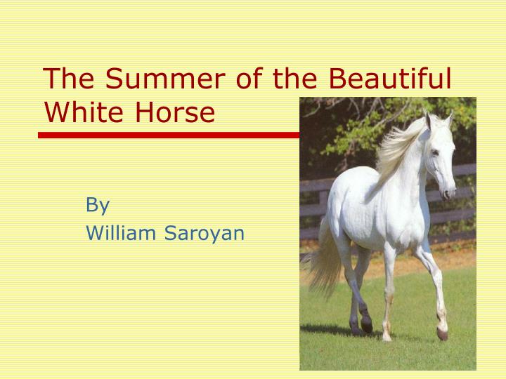 white horses book review