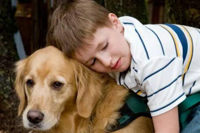 علاج التوحد بالاستعانة بالكلاب علاج التوحد بالاستعانة بالكلاب