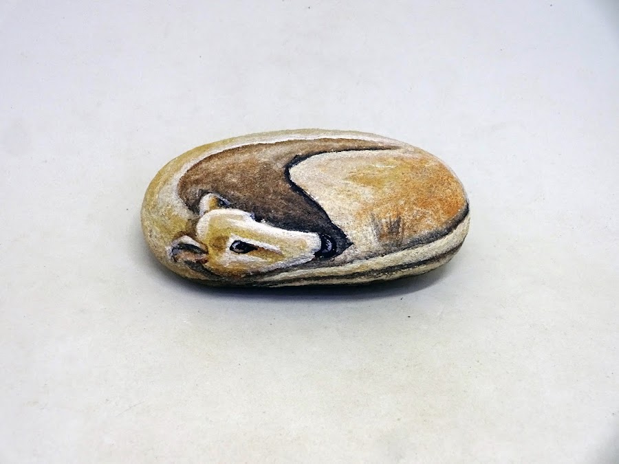 COMO PINTAR PIEDRAS CON GALGO PASO A PASO