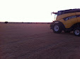 Cereal harvesting days... machinery has changed a lot / Cosecha de cereales... mucho ha cambiado la maquinaria