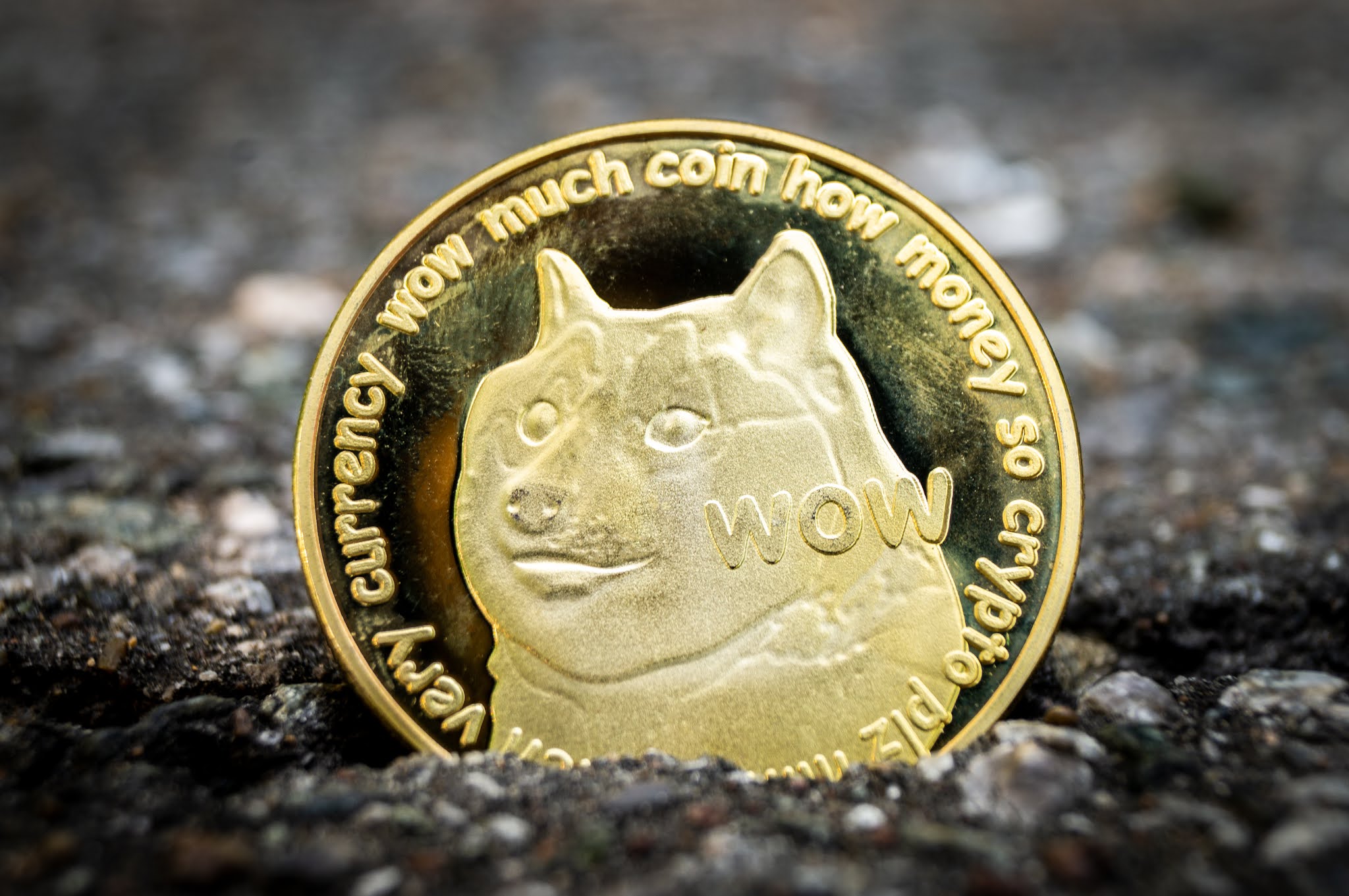 Dogecoin, a cryptocurrency that started from viral memes - klipingqu