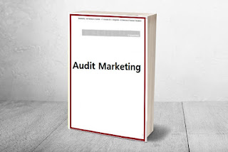 Audit marketing 