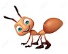 Saraiki Funny Ants Story
