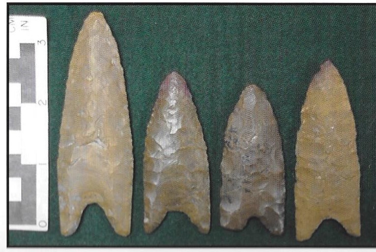 This Week In Pennsylvania Archaeology Projectile Point Types in
