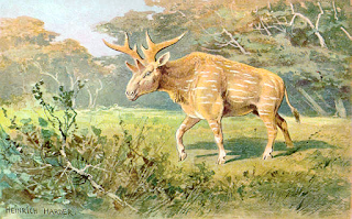 İlkel bir ataları olan geyik benzeri Sivatherium