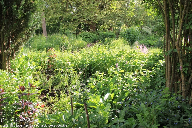 Kurpark Bad Krozingen Kräutergarten "Update"