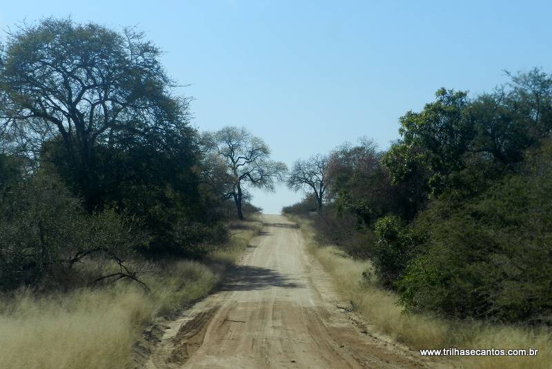Kruger Park, África do Sul