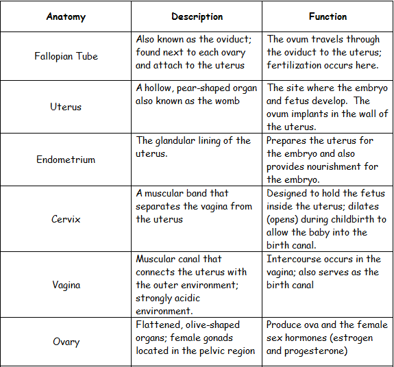 Sec 2 Science E-Portfolio: Reproduction in Man
