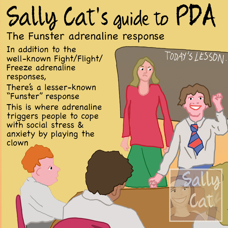 Sally Cat PDA September 2021