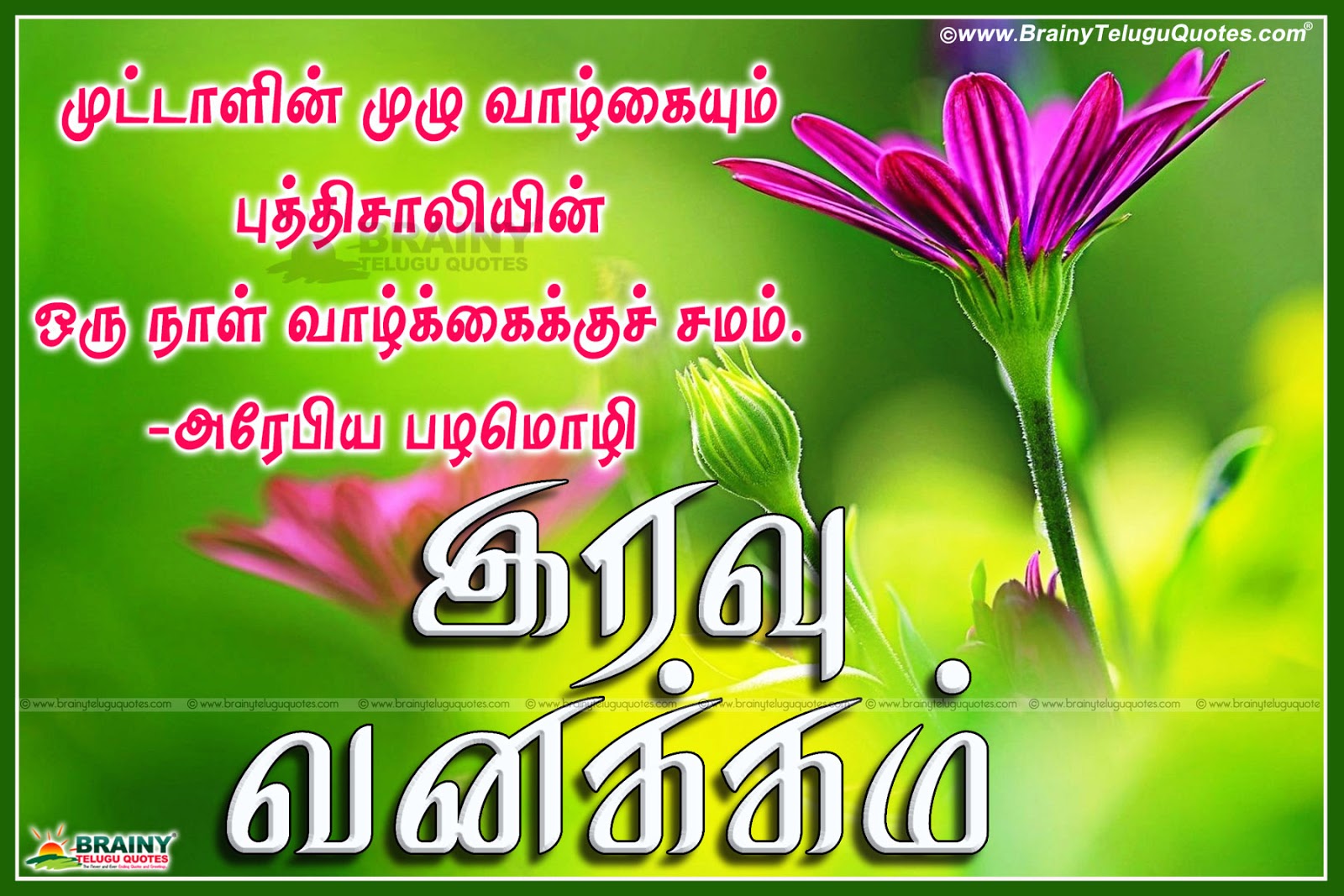 Tamil Good Night inspirational Kavithai with hd flowers wallpapers