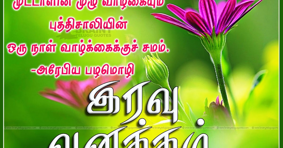 Tamil Good Night inspirational Kavithai with hd flowers wallpapers