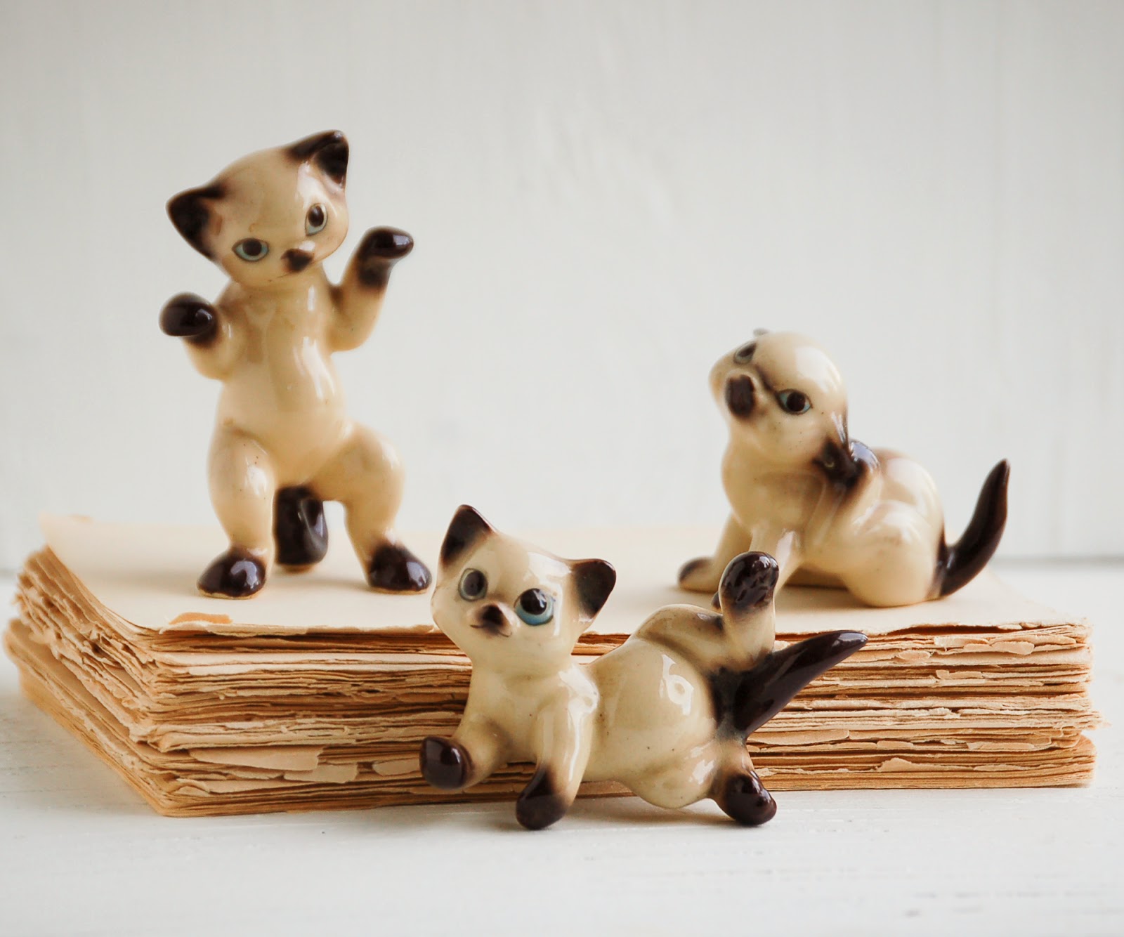 https://www.etsy.com/listing/186877394/vintage-siamese-kittens-siamese-cat?ref=shop_home_active_7