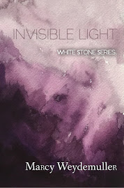 Invisible Light Book Two