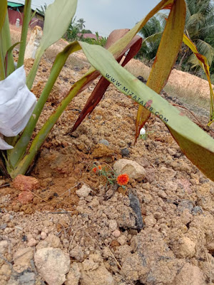 Kenapa Perlu Siram Air pada Kubur doa siram air di atas kubur  tabur bunga atas kubur  ziarah kubur pada hari jumaat  penceramah ustaz azhar idrus hukum sirai air pada kubur 3 Sebab Kenapa Perlu Siram Air pada Kubur