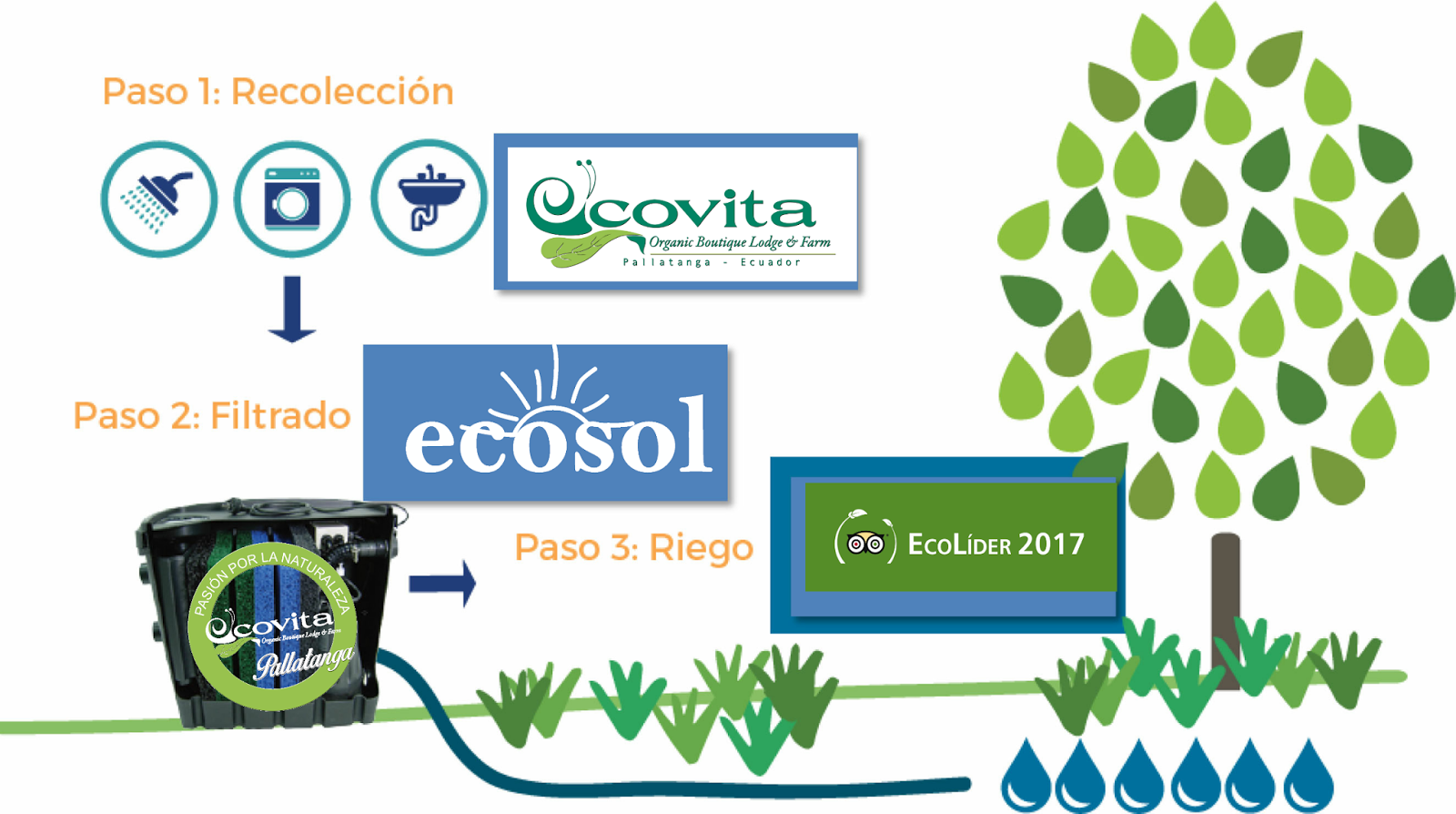ECOVITA ORGANIC LODGE AND FARMECUADOR Proyecto Ecovita Ecosol