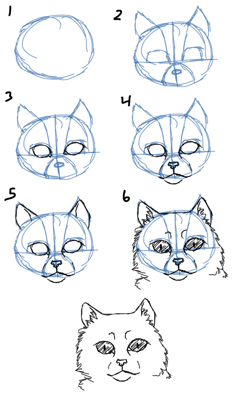 Cat’s Head Drawing