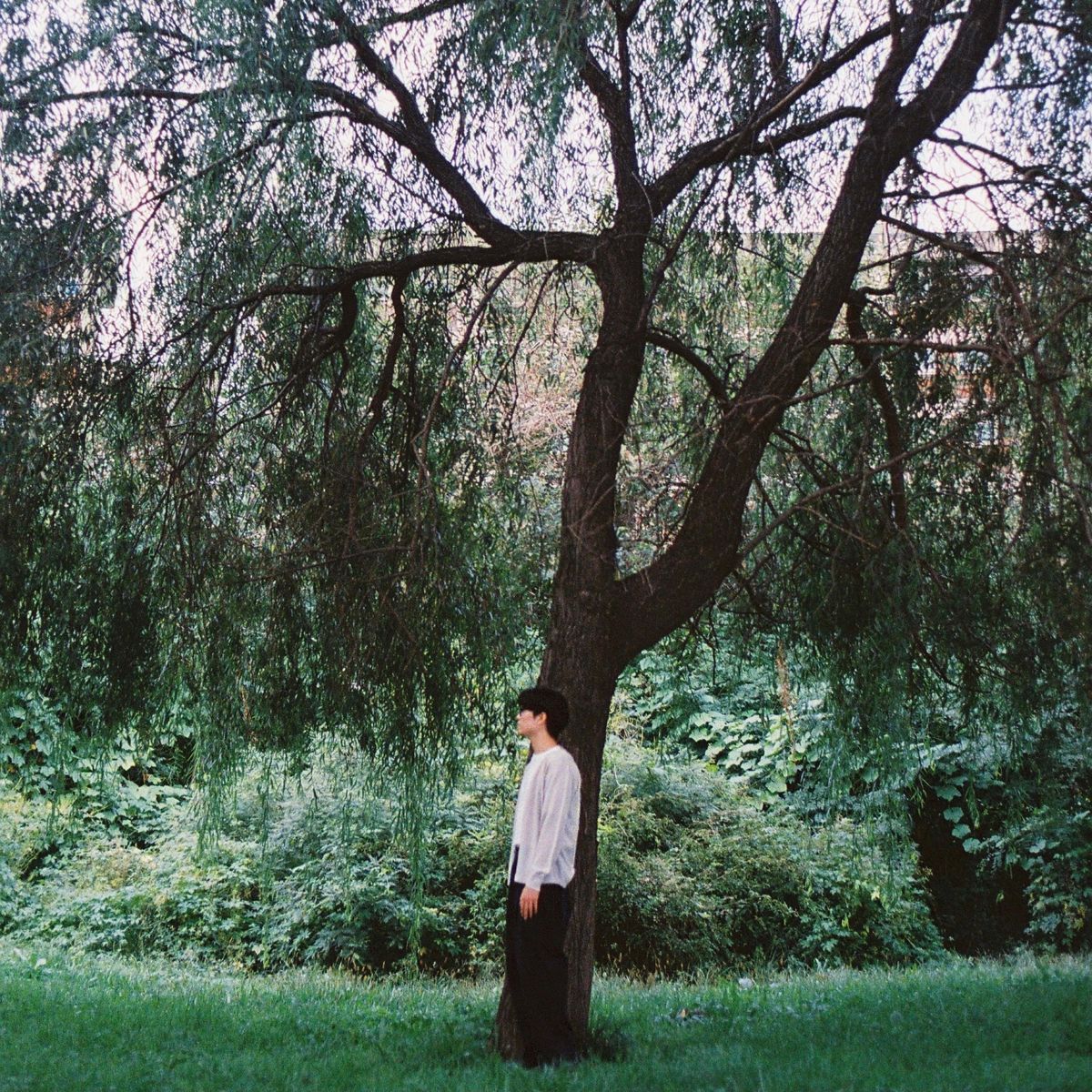 Park GunHoo – We Can Hear The Wind – Single