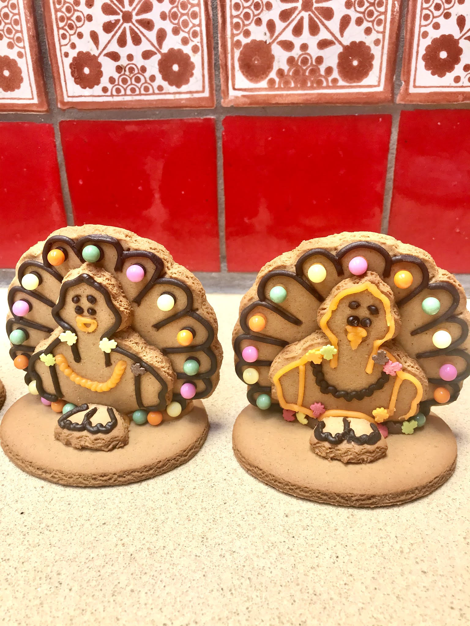 Sunny's Laboratory Gingerbread Turkey Trot