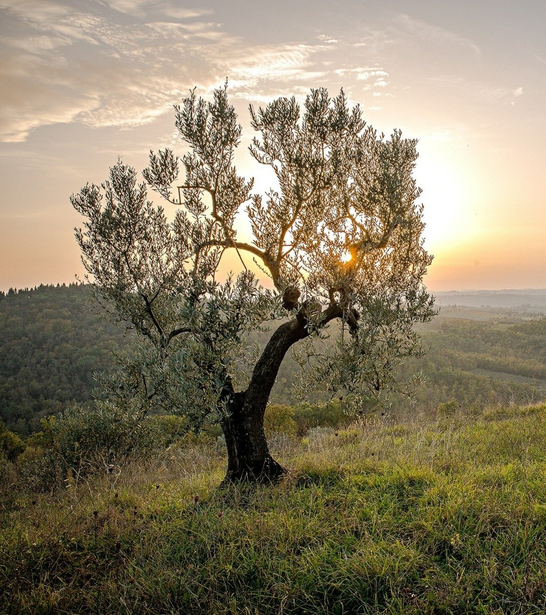 Education is an admirable thing but it is well to remember. Be worth. человек на вершине. Be well worth. Don't take people things for granted.