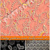Vintage Patterns Vector Backgrounds Set 05