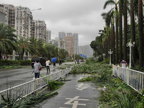 people walking on Yingbin South Road in Zhuhai after Typhoon Hato