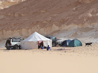 camp white desert safari