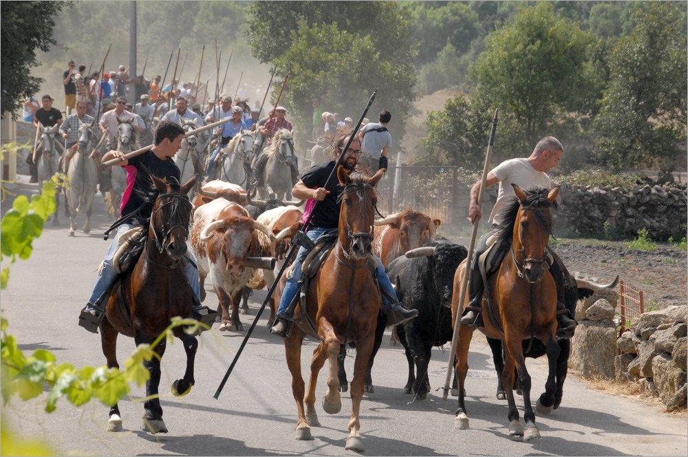 Festejos Populares Aldeia do Bispo (Sabugal