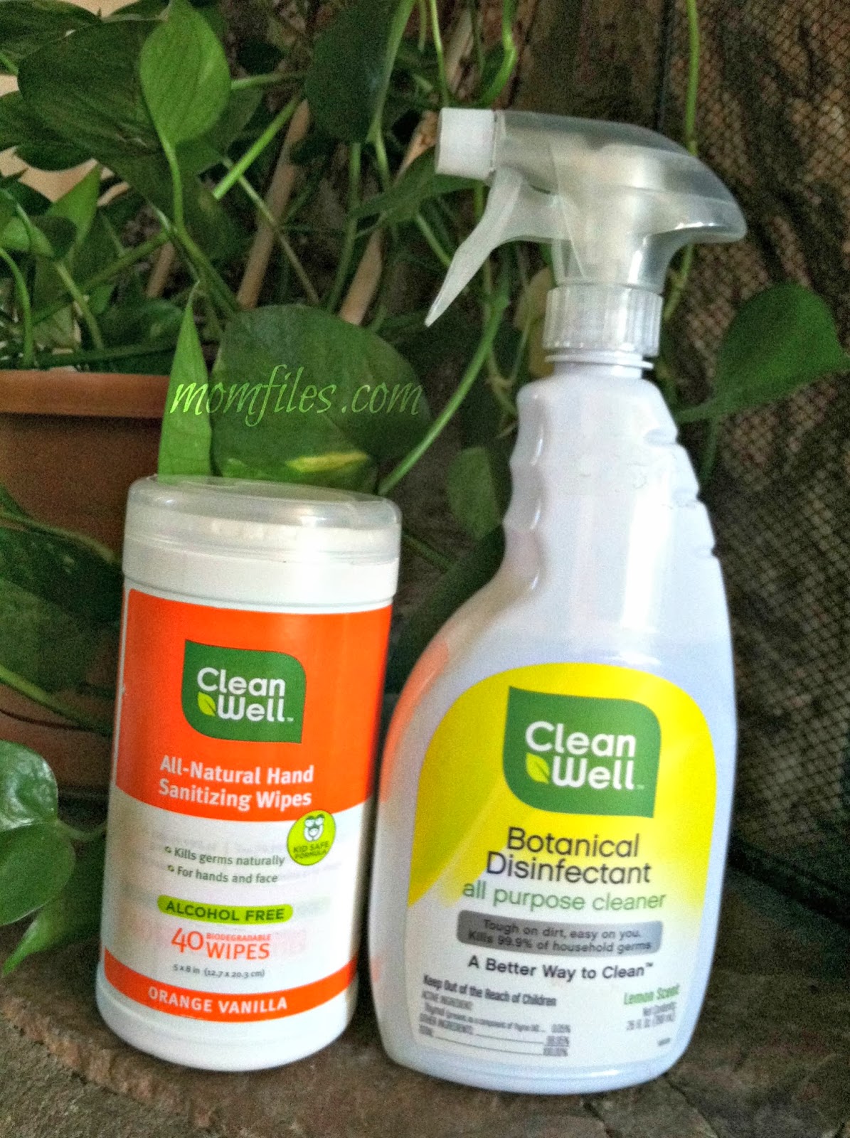 Cleaning up the sick germs with CleanWell Mom Files