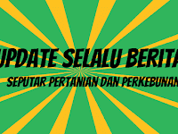 Ini Dia Jenis-Jenis Kerapu Yang Dapat Di Budidayakan Ini Dia Jenis-Jenis Kerapu Yang Dapat Di Budidayakan