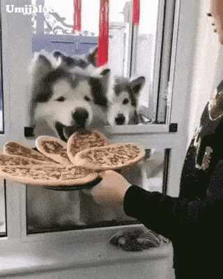 umjjal_kr_224.gif