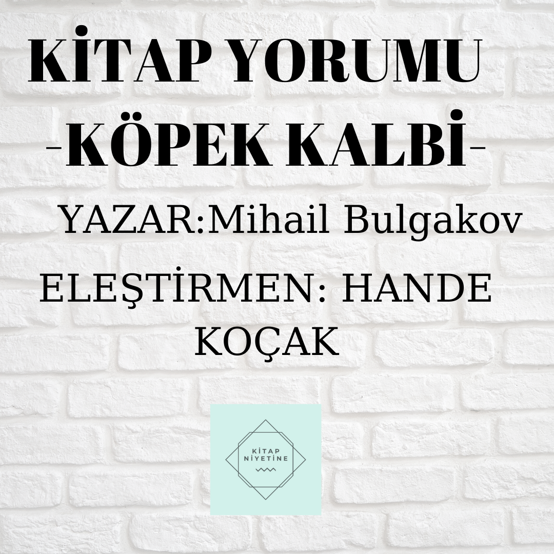 KİTAPNİYETİNE KİTAP YORUMU 3 KÖPEK KALBİ/ HANDE KOÇAK