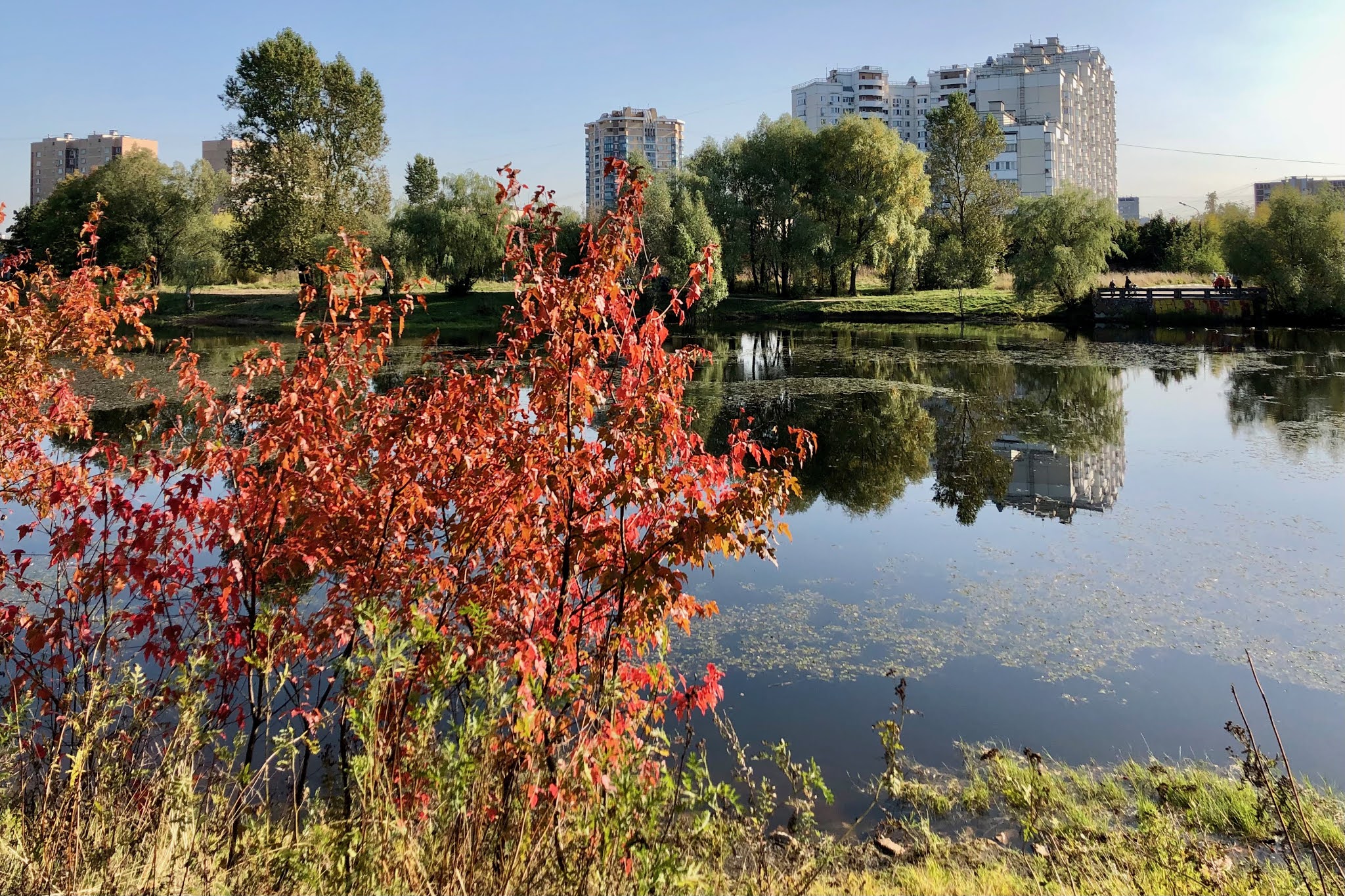гольяновский сквер. гольяновский парк реконструкция 2021. судебный участок 119 гольяново. 119 участок гольяново. 119 участок гольяново.