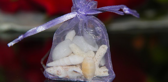 Εορτολόγιο: Ποιοι γιορτάζουν σήμερα Δευτέρα 18 Μαΐου 2020