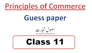 1st year principles of commerce guess paper 2024