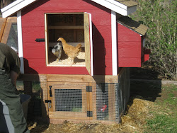 flights fancy vane weather found added