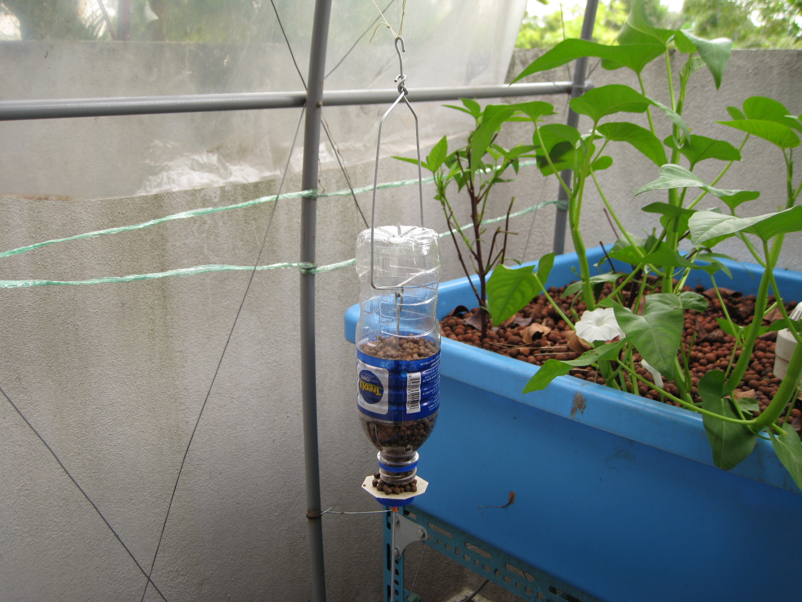 Aska's Aquaponics DIY On Demand Feeder