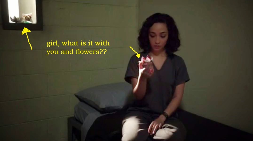 NoisyAudience Marvel's Agents of Shield 1x18 Providence review