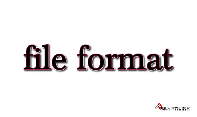 file format