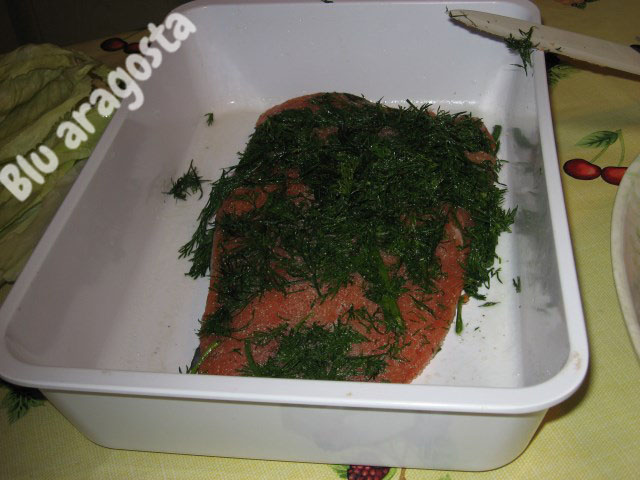 come preparare salmone marinato svedese gravad lax