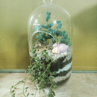 Terrarium Hà Nội